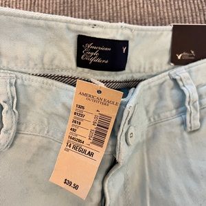 NWT American Eagle Artist pants